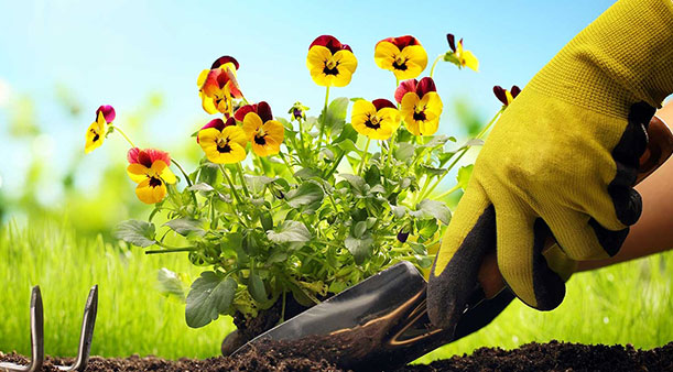 Waar worden werkhandschoenen voor gebruikt?